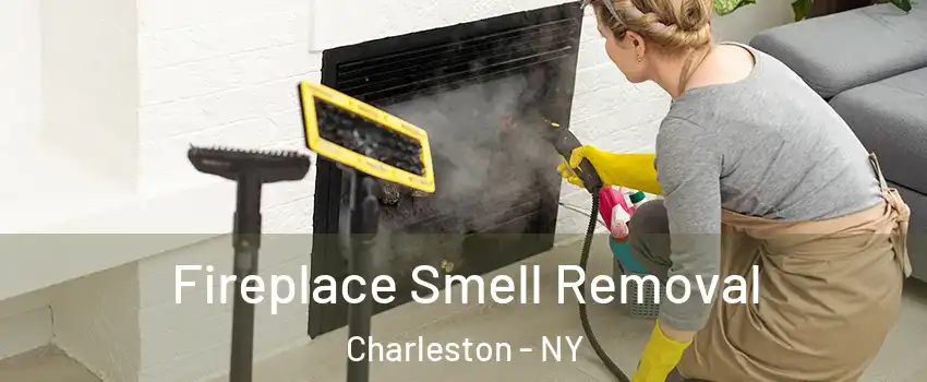 Fireplace Smell Removal Charleston - NY