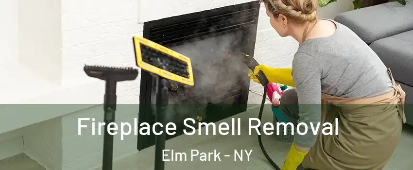 Fireplace Smell Removal Elm Park - NY