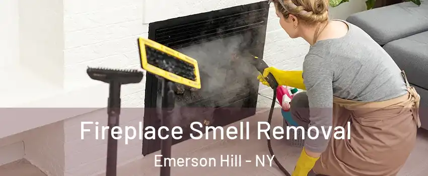 Fireplace Smell Removal Emerson Hill - NY