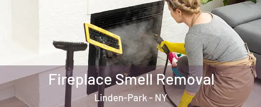 Fireplace Smell Removal Linden-Park - NY