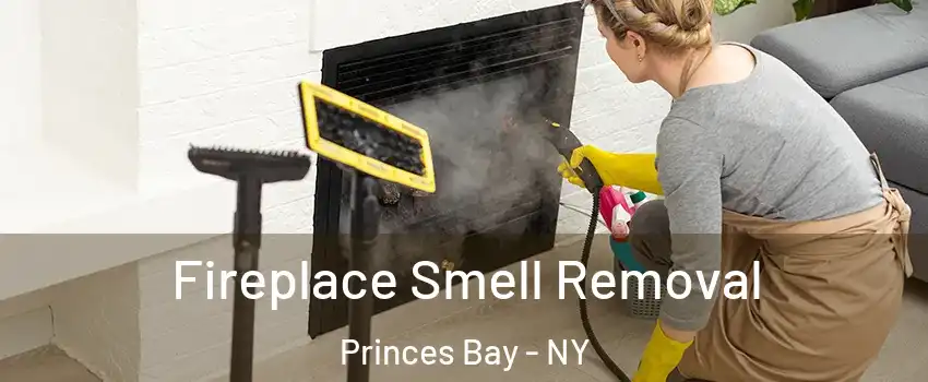 Fireplace Smell Removal Princes Bay - NY