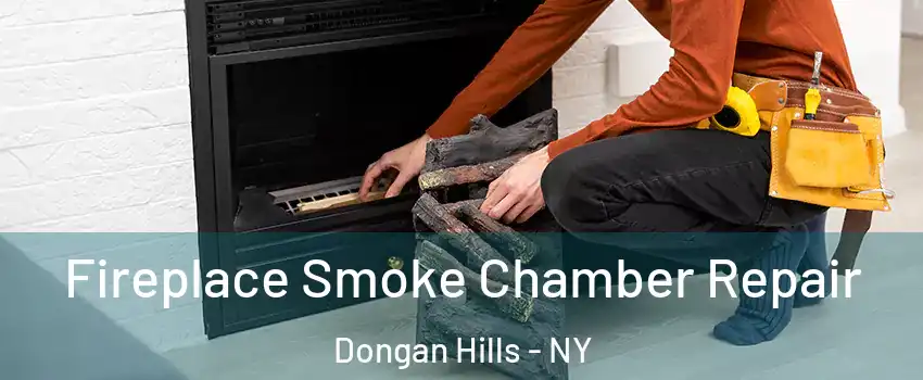 Fireplace Smoke Chamber Repair Dongan Hills - NY