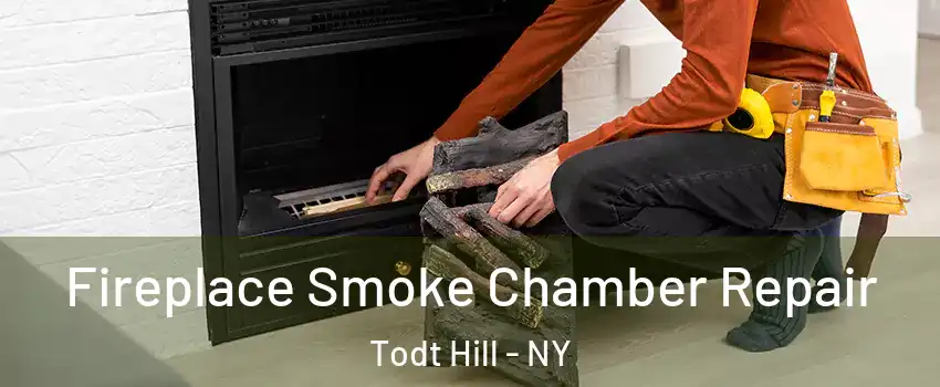 Fireplace Smoke Chamber Repair Todt Hill - NY