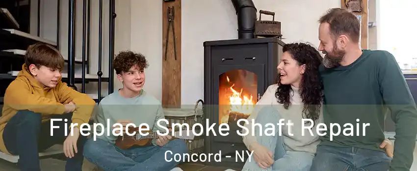 Fireplace Smoke Shaft Repair Concord - NY