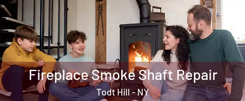 Fireplace Smoke Shaft Repair Todt Hill - NY