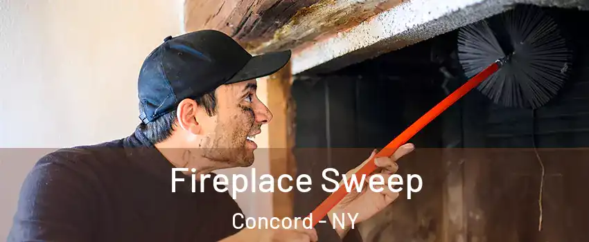 Fireplace Sweep Concord - NY