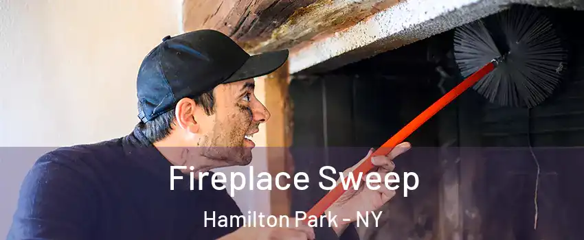 Fireplace Sweep Hamilton Park - NY