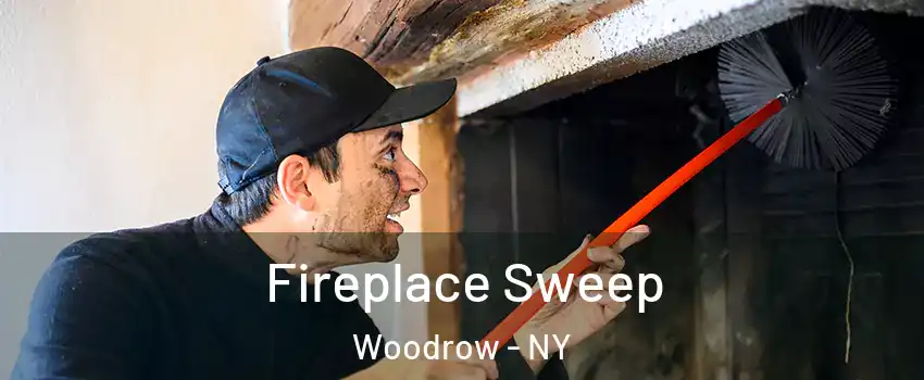 Fireplace Sweep Woodrow - NY