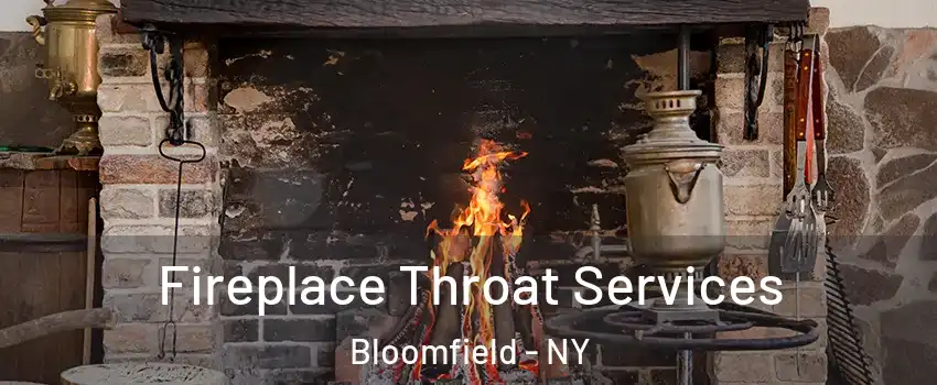 Fireplace Throat Services Bloomfield - NY