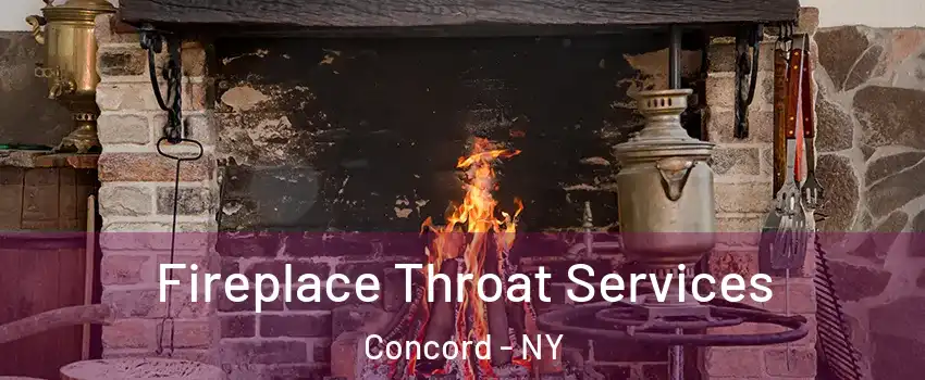 Fireplace Throat Services Concord - NY