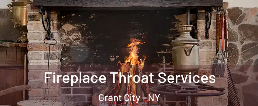 Fireplace Throat Services Grant City - NY