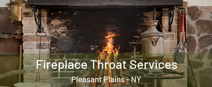 Fireplace Throat Services Pleasant Plains - NY