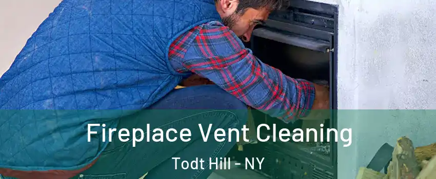 Fireplace Vent Cleaning Todt Hill - NY