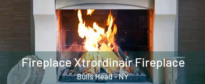 Fireplace Xtrordinair Fireplace Bulls Head - NY