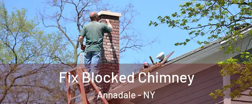 Fix Blocked Chimney Annadale - NY