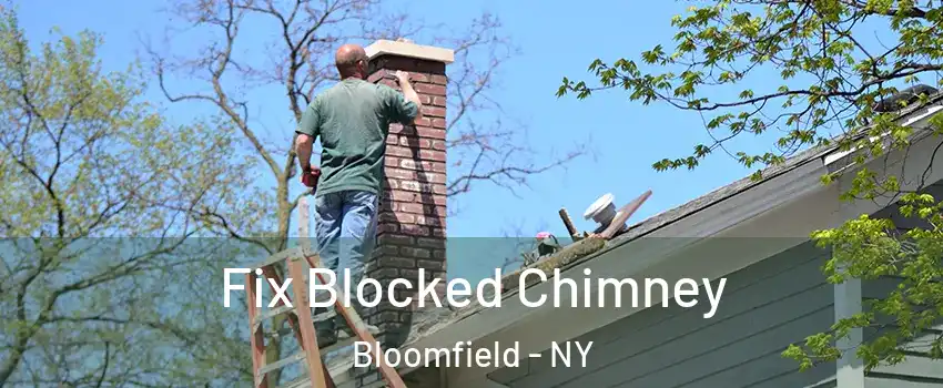 Fix Blocked Chimney Bloomfield - NY