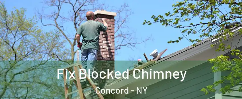 Fix Blocked Chimney Concord - NY