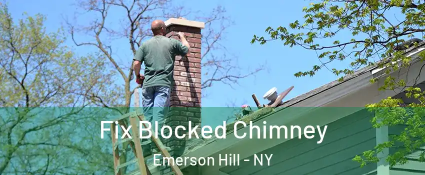 Fix Blocked Chimney Emerson Hill - NY