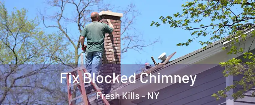 Fix Blocked Chimney Fresh Kills - NY