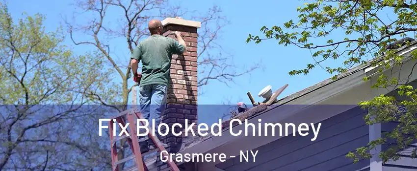 Fix Blocked Chimney Grasmere - NY