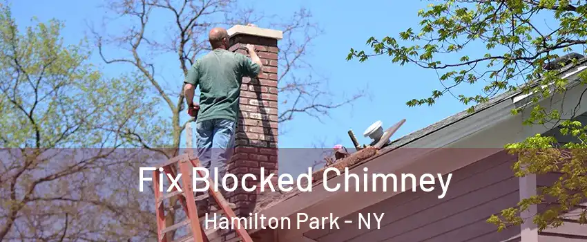 Fix Blocked Chimney Hamilton Park - NY