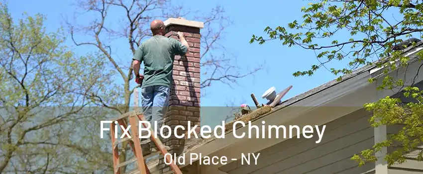 Fix Blocked Chimney Old Place - NY