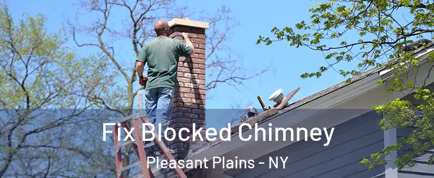 Fix Blocked Chimney Pleasant Plains - NY