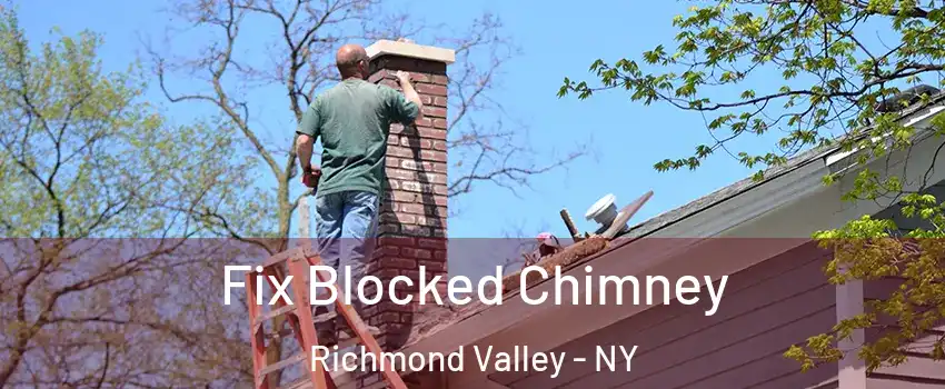 Fix Blocked Chimney Richmond Valley - NY