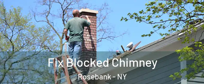 Fix Blocked Chimney Rosebank - NY