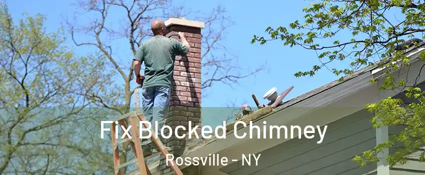 Fix Blocked Chimney Rossville - NY