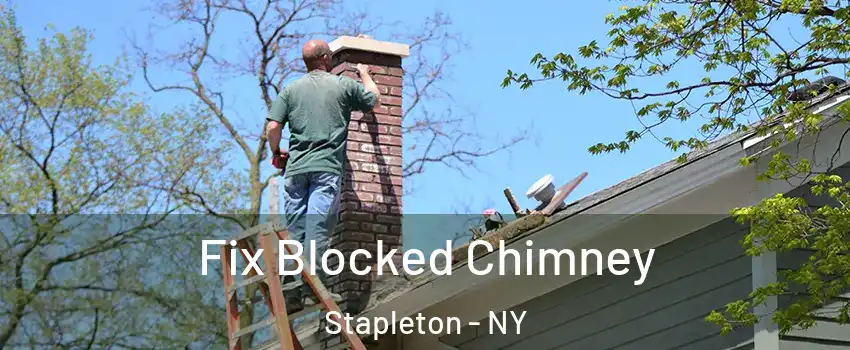 Fix Blocked Chimney Stapleton - NY