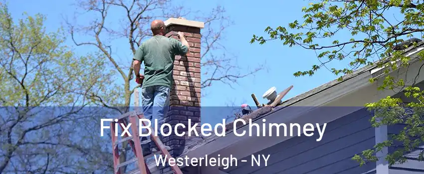 Fix Blocked Chimney Westerleigh - NY