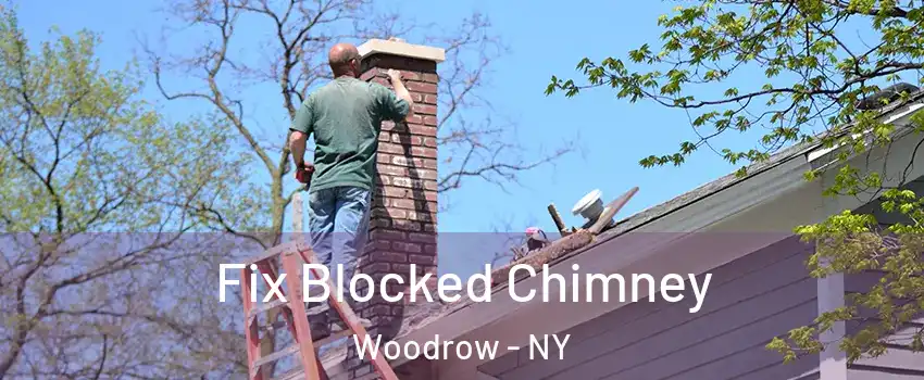 Fix Blocked Chimney Woodrow - NY