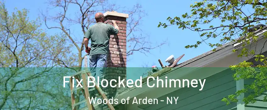 Fix Blocked Chimney Woods of Arden - NY