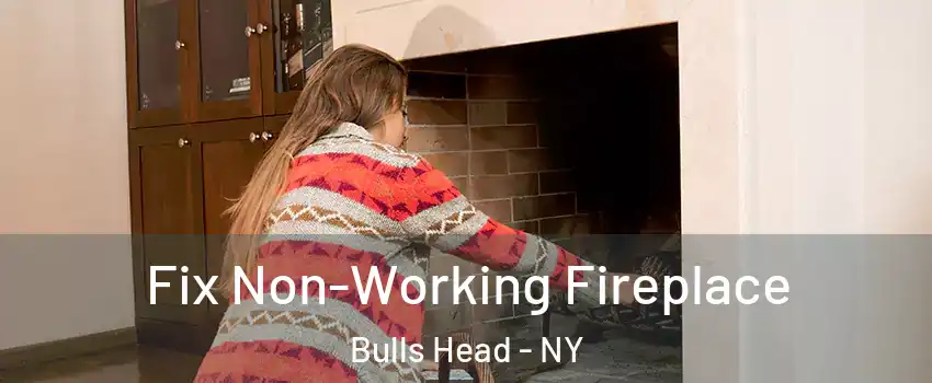 Fix Non-Working Fireplace Bulls Head - NY