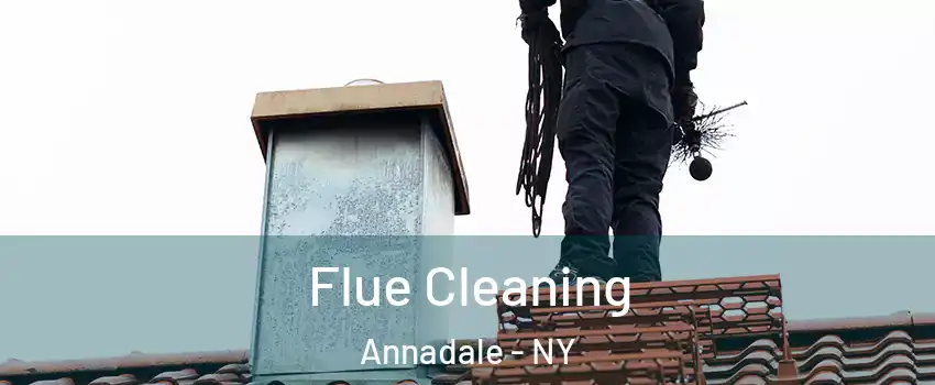 Flue Cleaning Annadale - NY