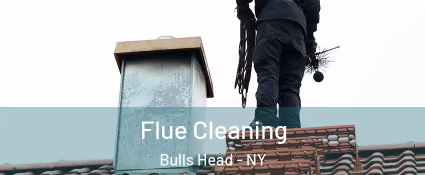 Flue Cleaning Bulls Head - NY