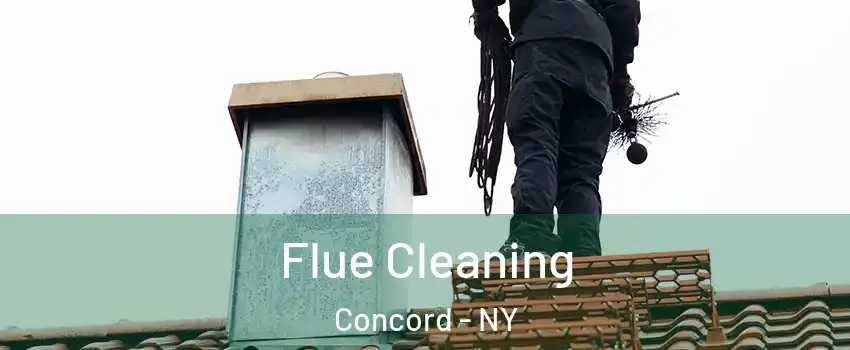 Flue Cleaning Concord - NY