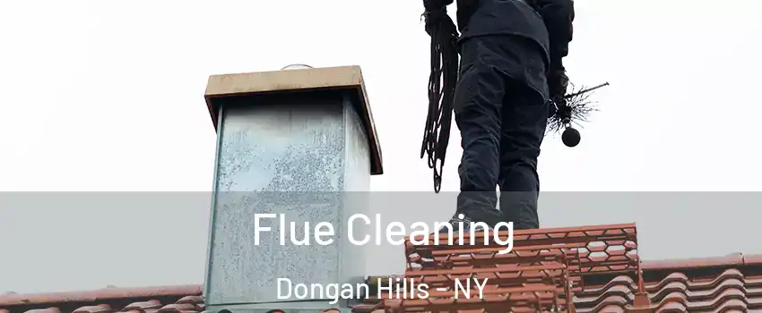 Flue Cleaning Dongan Hills - NY