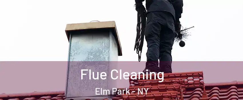 Flue Cleaning Elm Park - NY