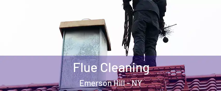 Flue Cleaning Emerson Hill - NY