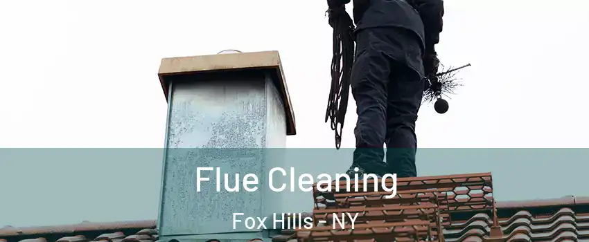 Flue Cleaning Fox Hills - NY