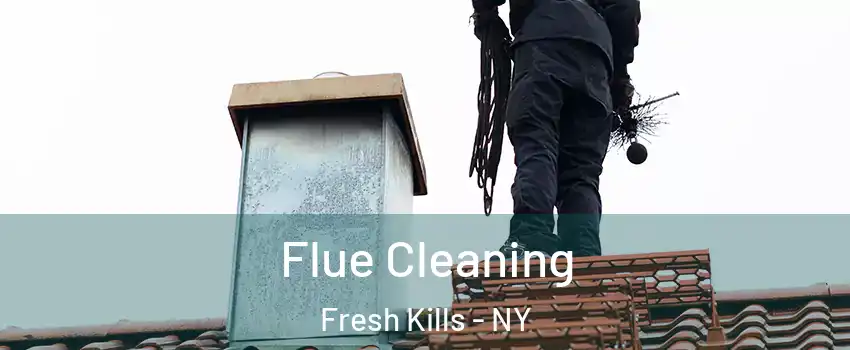 Flue Cleaning Fresh Kills - NY