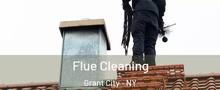 Flue Cleaning Grant City - NY