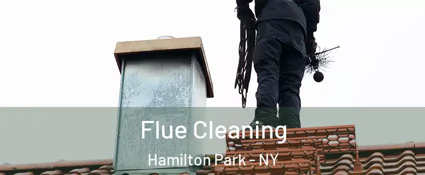 Flue Cleaning Hamilton Park - NY