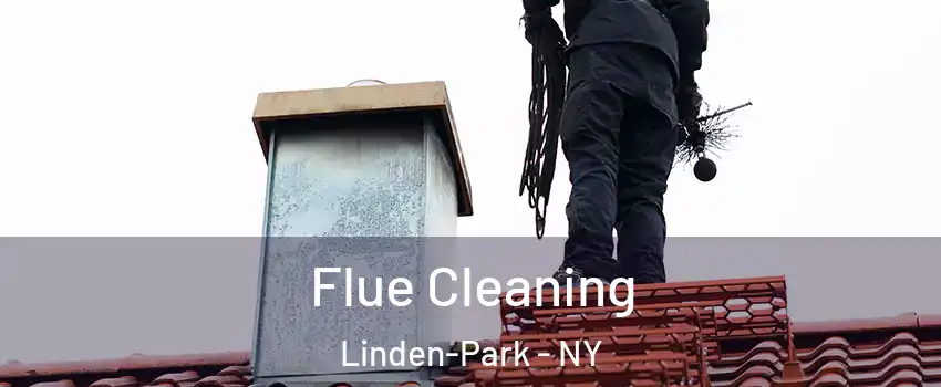 Flue Cleaning Linden-Park - NY