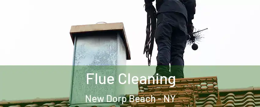 Flue Cleaning New Dorp Beach - NY