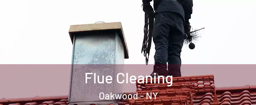 Flue Cleaning Oakwood - NY