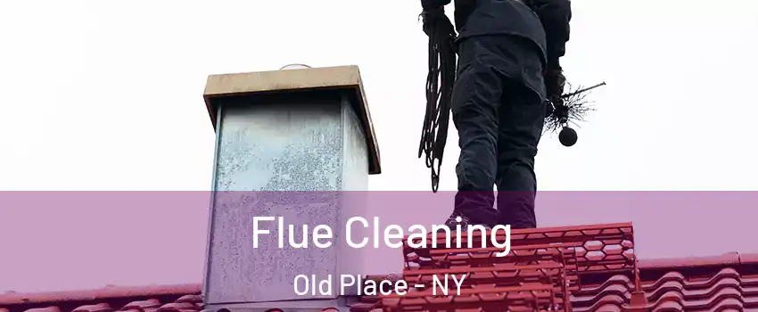 Flue Cleaning Old Place - NY