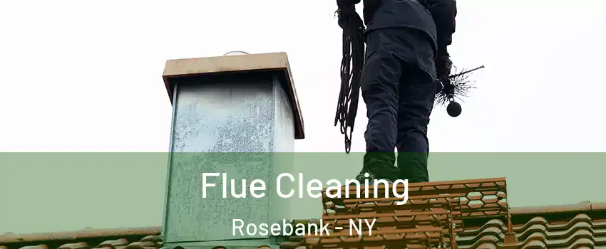 Flue Cleaning Rosebank - NY